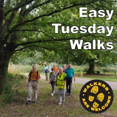 Easy Tuesday Walks