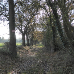Route to Badley Moor