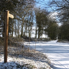 Footpath sign in snowy scene
