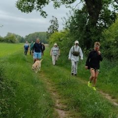 Walking
field edge