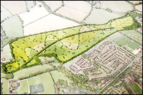 Country Park drawing