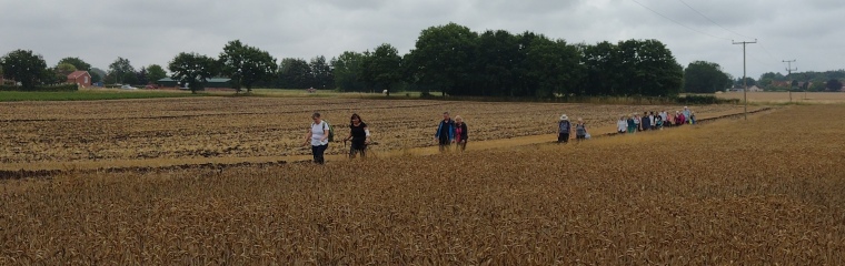 Along side harvest
