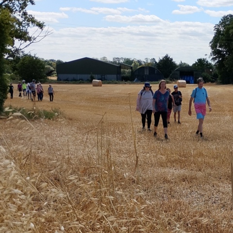 Walking on field with stubble