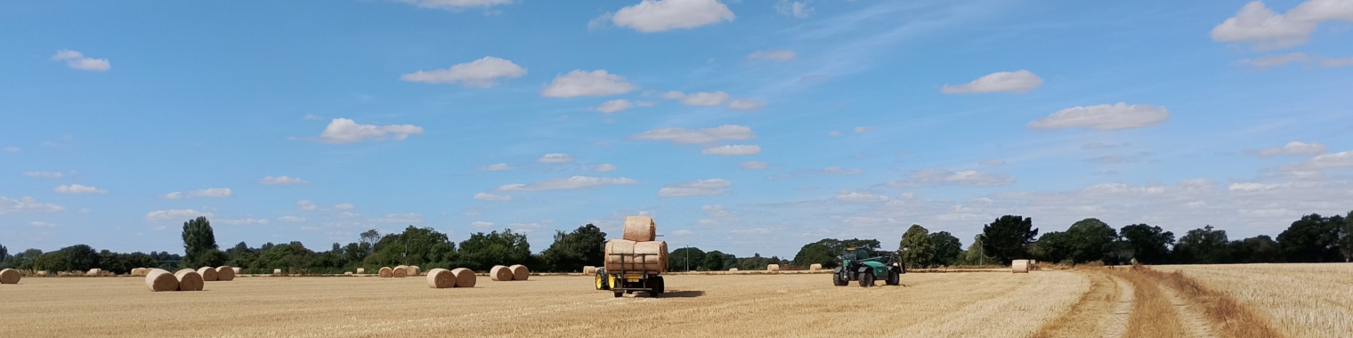 Havesting bails under a big sky
