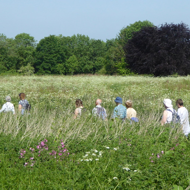 Rushmeadow